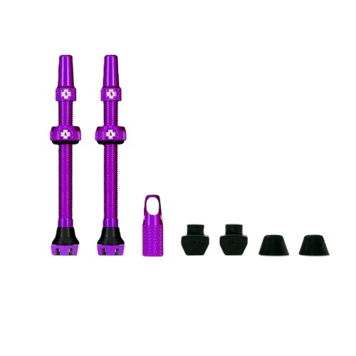 e-velomania20261022164213384097