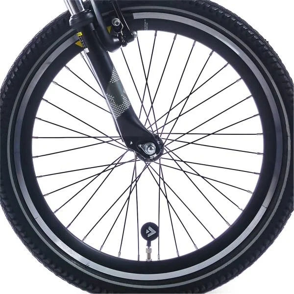 hollandbikeshop-120261023014054481816