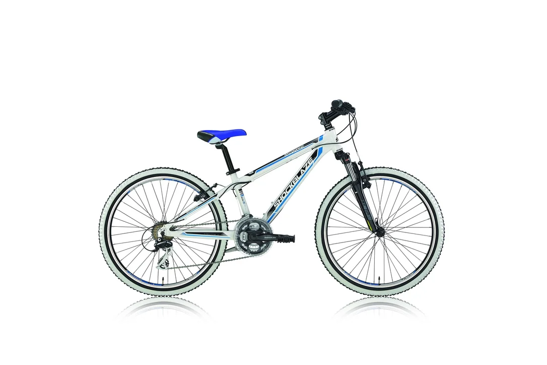 rowerzysta20261022115346328707