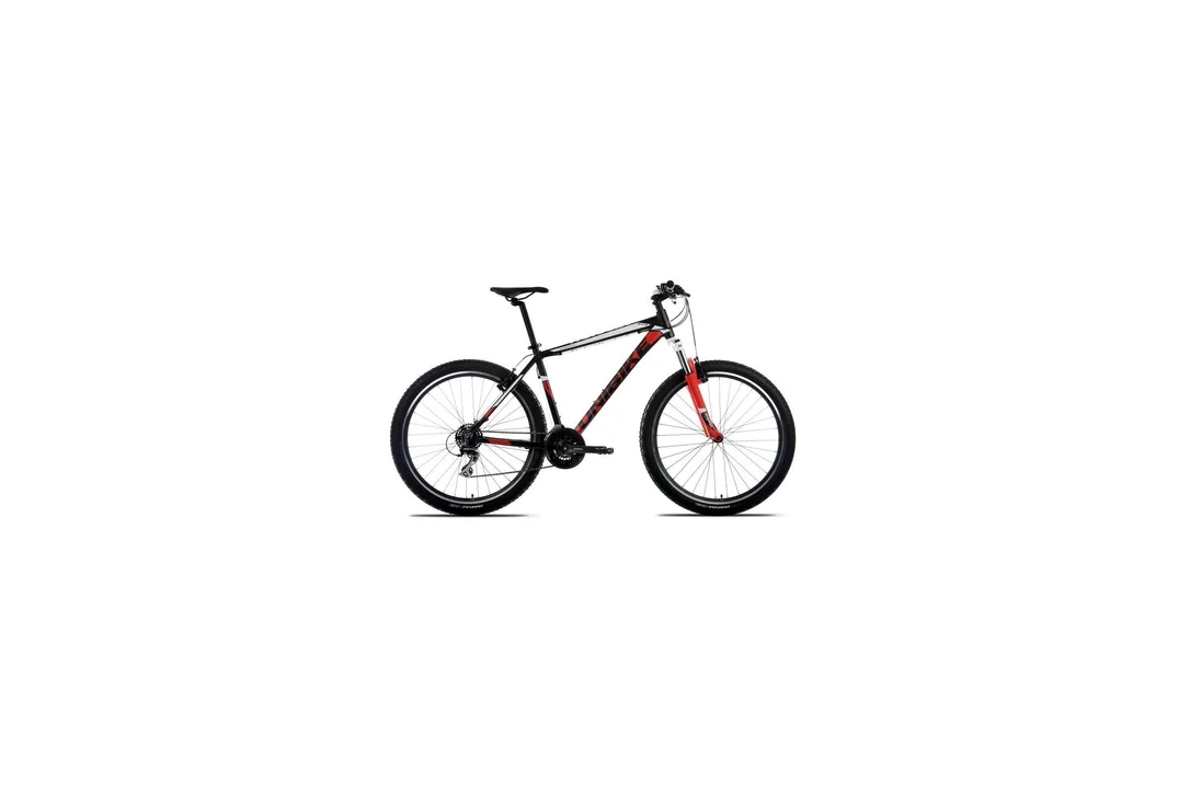 rowerzysta20261022154906373510