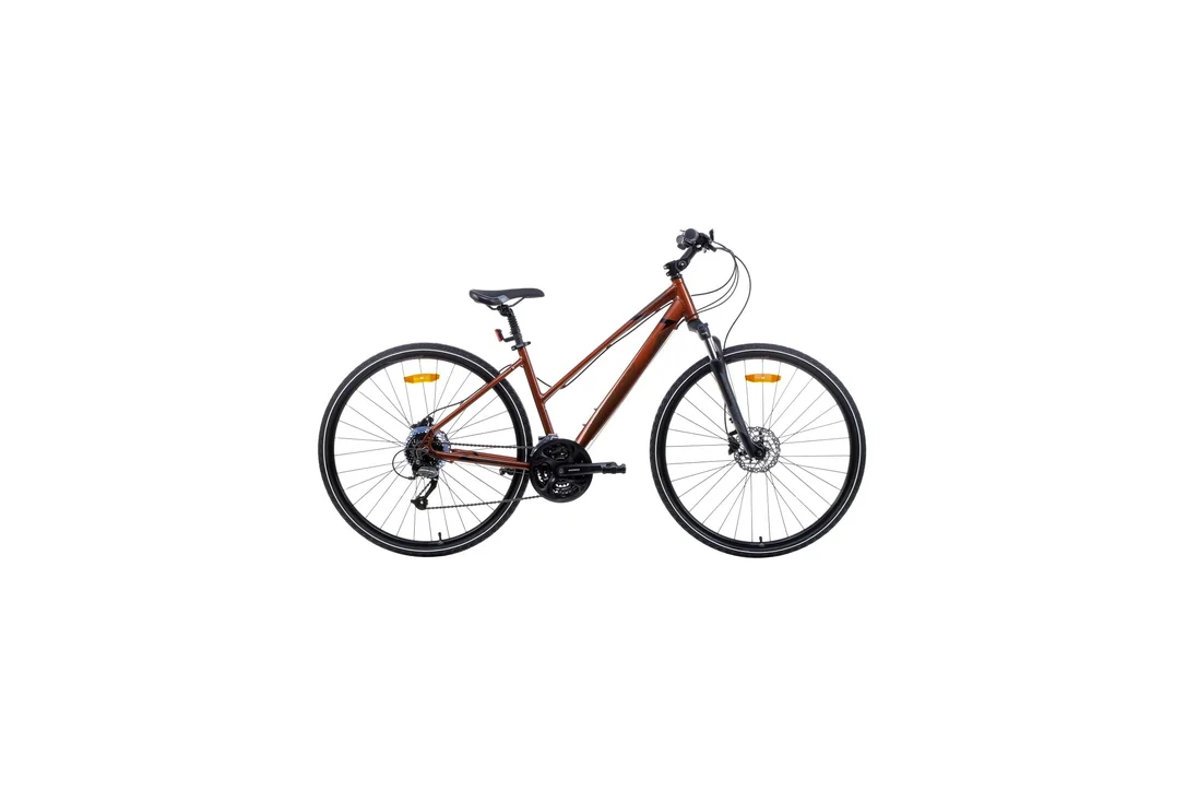 rowerzysta20261022184246408443