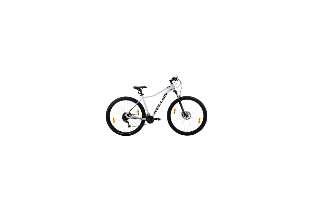 rowerzysta20261022193300418656