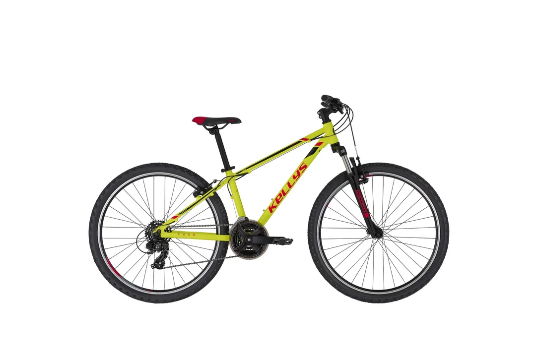 rowerzysta20261022193358418834