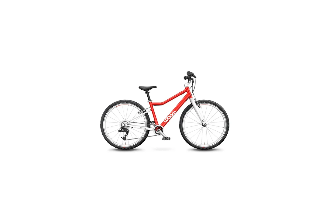 rowerzysta20261022194245420611