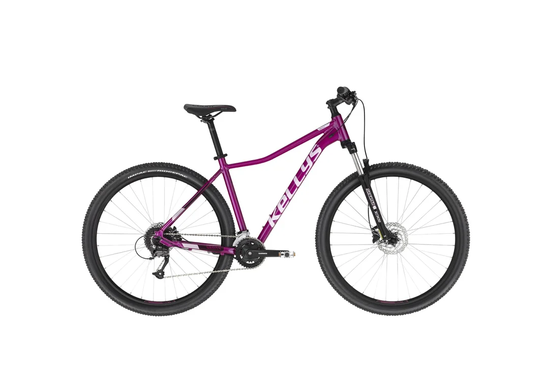 rowerzysta20261022205621434104