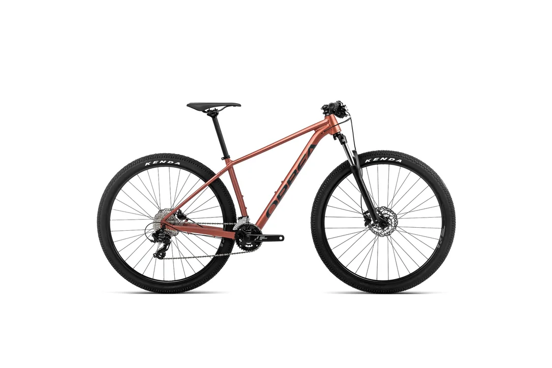 rowerzysta20261022212646439706