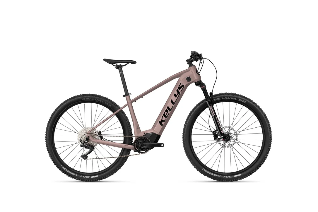 rowerzysta20261022213221440672