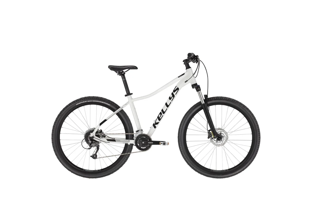 rowerzysta20261022213431441038