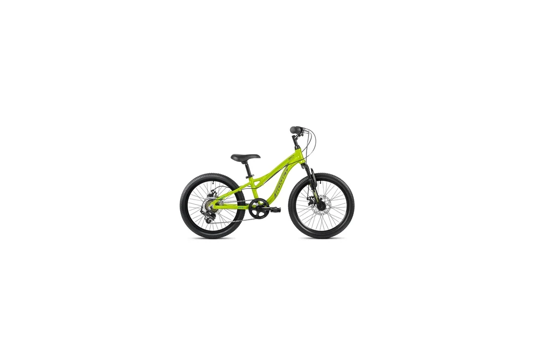 rowerzysta20261022221031446867