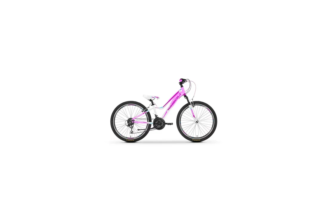 rowerzysta20261022223503450718