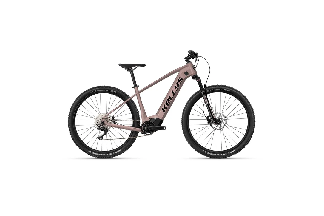 rowerzysta20261023001208466756