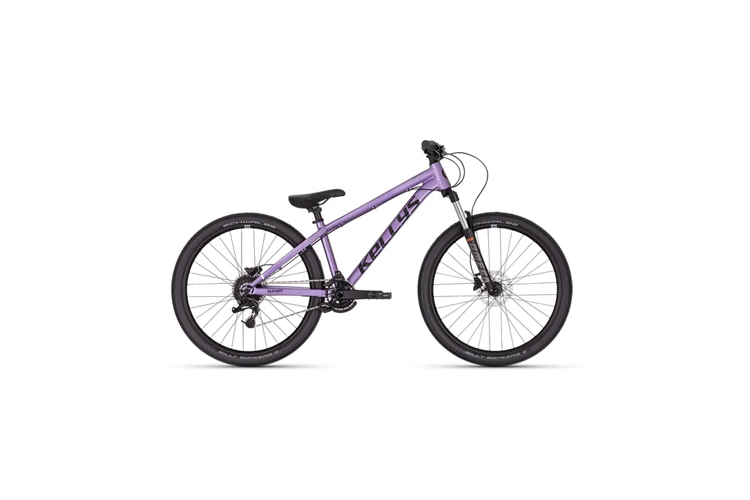 rowerzysta20261023004151471282
